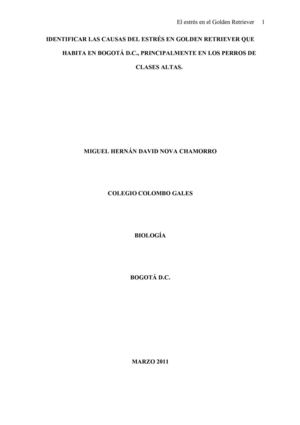 Estrés en el Golden Retriever