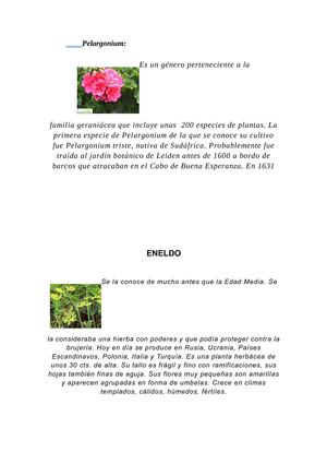 plantas ornamentales de la region oriental