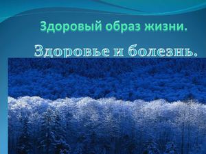 стартовая презентация