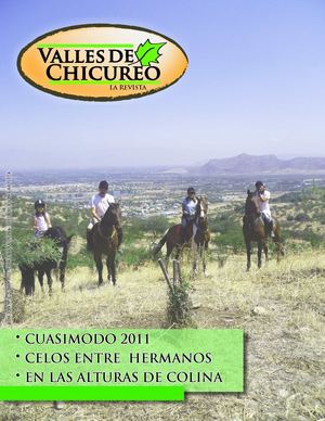 Revista Valles de Chicureo