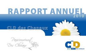 Rapport annuel 2010