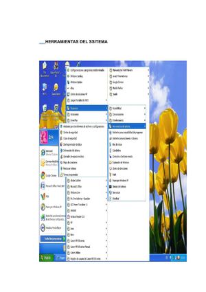 HERRAMIENTAS DEL SISTEMA