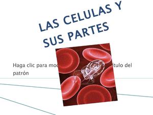 CELULAS