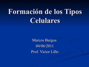 Formación de los Tipos Celulares