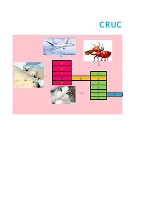 andrea carolina  tuiran bernal