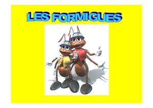 LA VIDA DE LES FORMIGUES