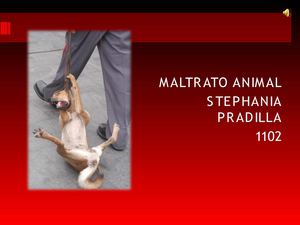 maltrato animal