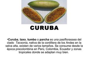 curuba