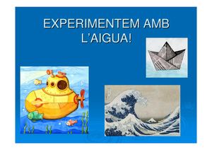 EXPERIMENTEM AMB L'AIGUA