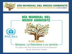 Día Mundial del Medio Ambiente