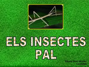 ELS INSECTES PAL