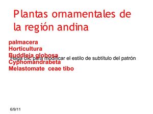 plantas ornamentales de la region andina