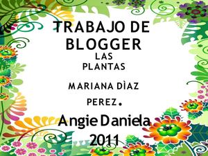 Presentación1