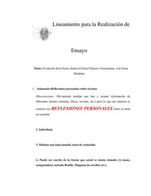 LINEAMIENTO PARA LA REALIZACION DEL ENSAYO