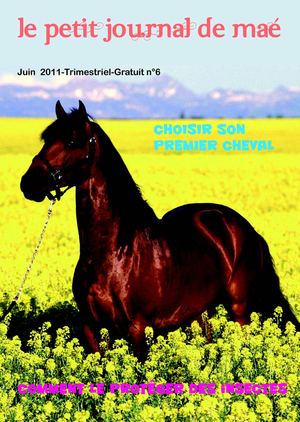 Le petit journal de Maé - juin 2011-