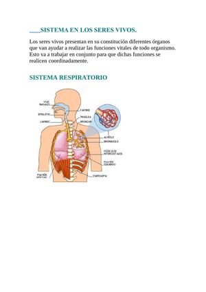 SISTEMA RESPIRATORIO