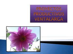 Aromáticas ayuda familiar