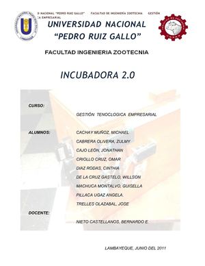 INFORME INCUBADORA 2.0