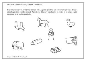 palabras largas y cortas II