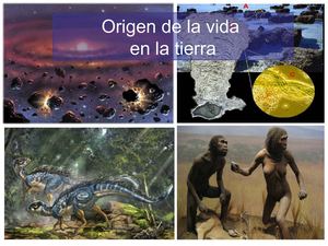 Origen de la vida y la tierra