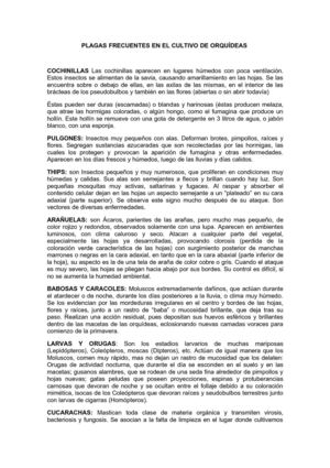 Plagas de las Orquídeas por Vilma Fontana