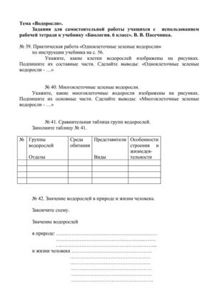 задания по самостоятельной работе в печатной тетради