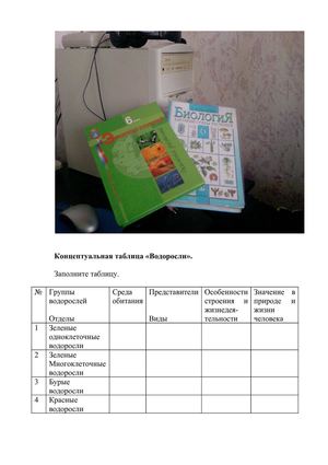 Концептуальная таблица