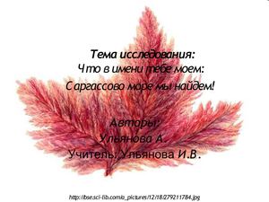 презентация исследования море без берегов