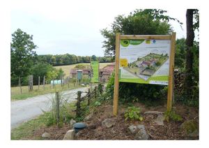 Le jardin en images - début juin