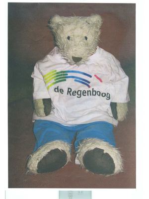 Boek van Flip de Beer - groep 2