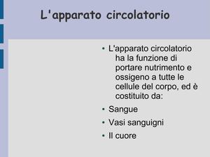 apparato circolatorio