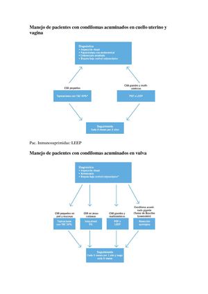 Flujograma de manejo mujeres con pap alterado.Tatti