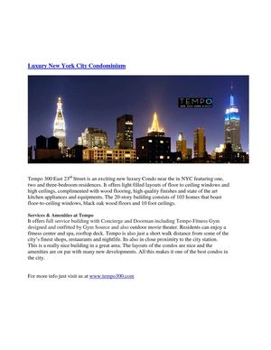 Luxury New York City Condominium