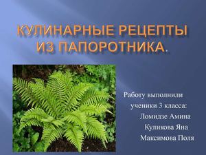Кулинарные рецепты из папоротника