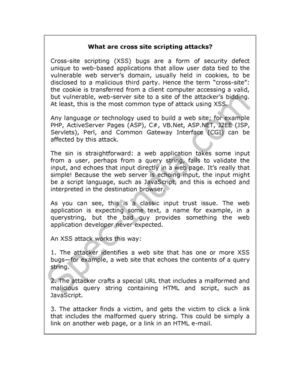 Calaméo - What are cross site scripting attacks?