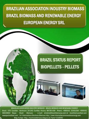 Brazil Status Report Biomass Pellets BioPellets