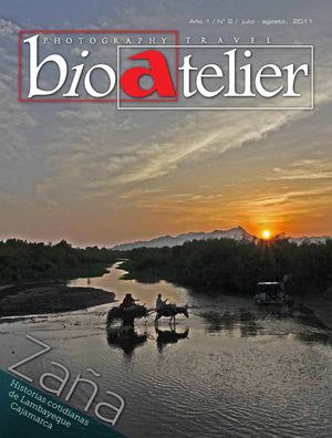Revista Bioatelier # 2