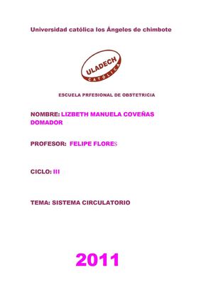 SISTEMA CIRCULATORIO M