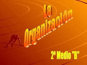 La Organización