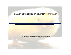 Planta Beneficiadora de Aves 