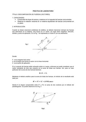 PRÀCTICA DE DESCOMPOSICIÒN DE FUERZAS