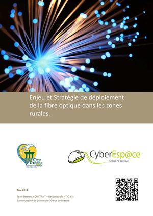 Enjeu et Stratégie de déploiement de la fibre optique dans les zones rurales.