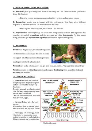 NUTRITION. DIGESTIVE SYSTEM. ENGLISH