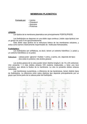 Membrana  Plasmàtica