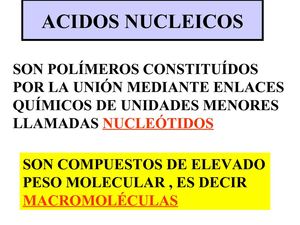 Ácidos nucleicos