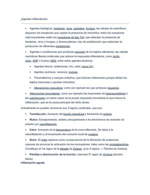 la inflamacion 