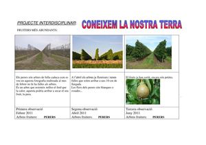 observacions definitives