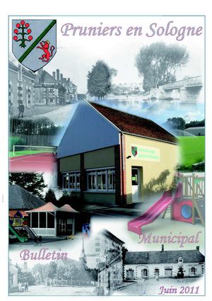Bulletin municipal de Pruniers-en-Sologne - juin 2011