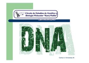 Estructura Del ADN