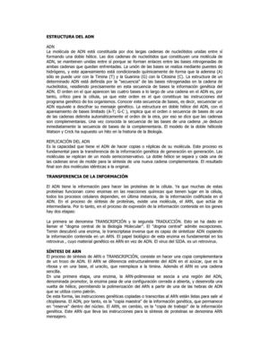 estructura_del_adn